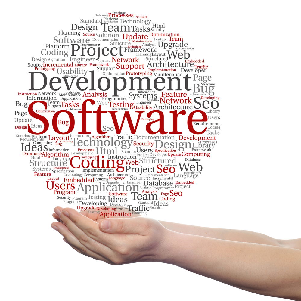 Individualsoftware-Entwicklung
